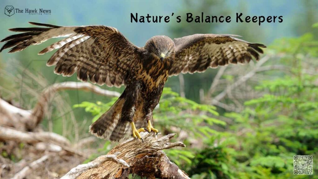 Nature’s Balance Keepers