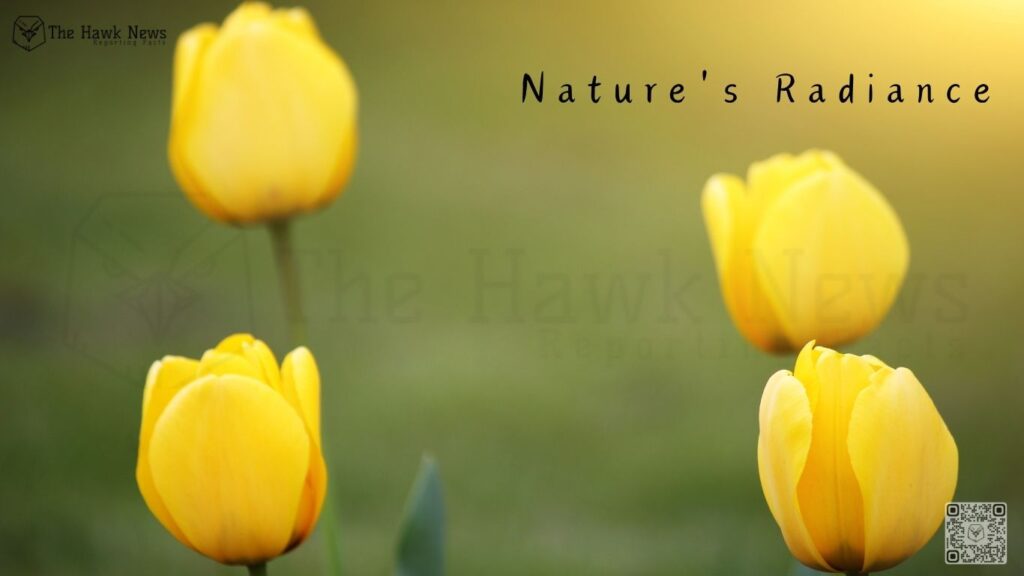 Nature's Radiance