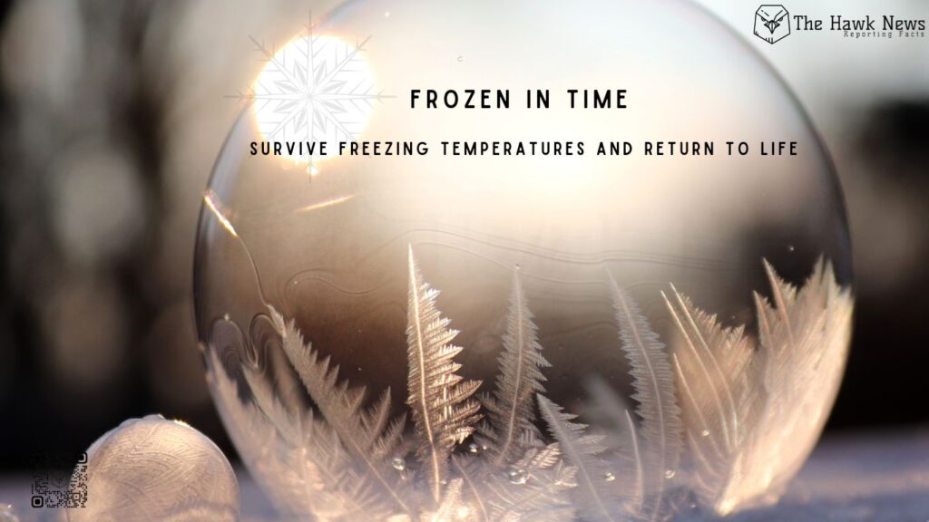 Frozen in Time