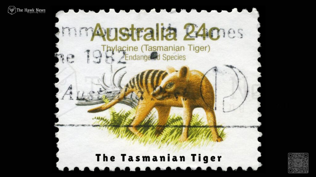 The Tasmanian Tiger