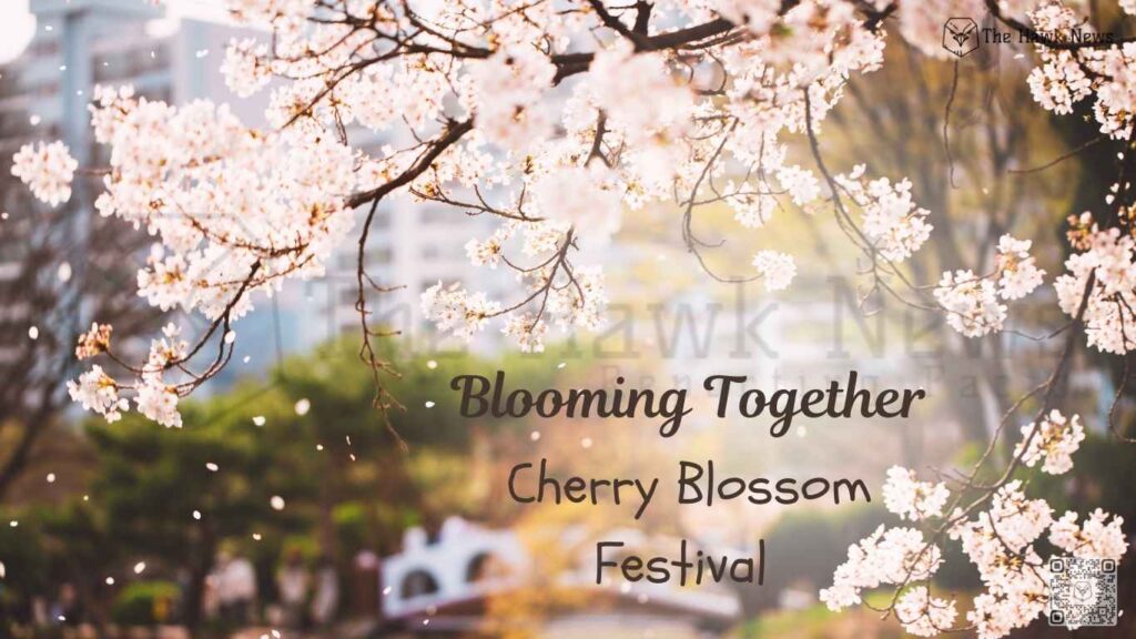 Cherry Blossom Festivals