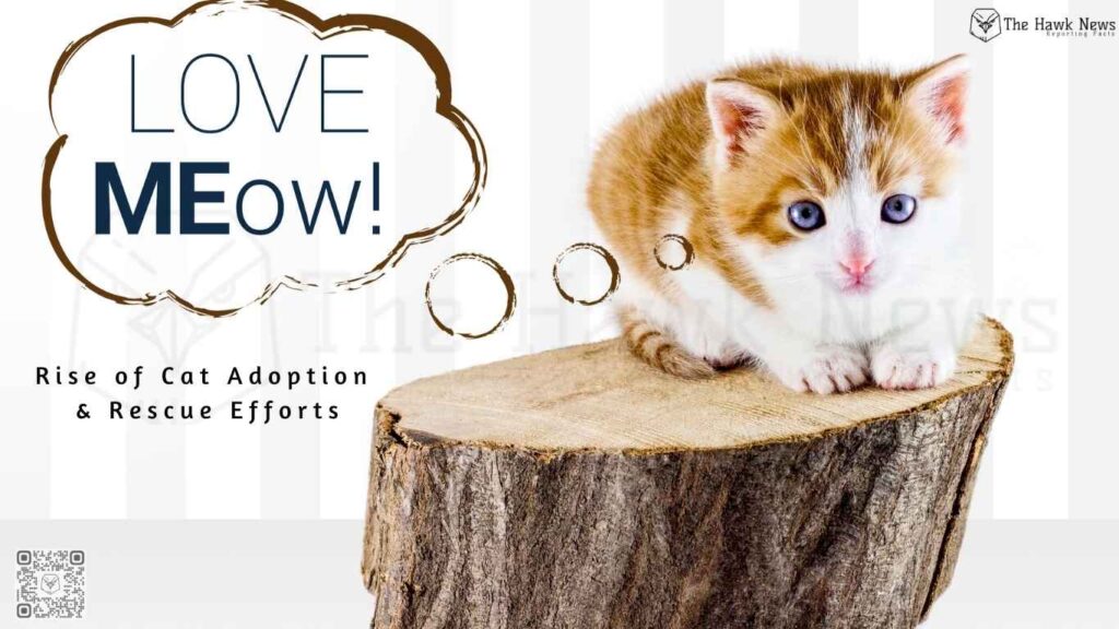 Rise of Cat Adoption