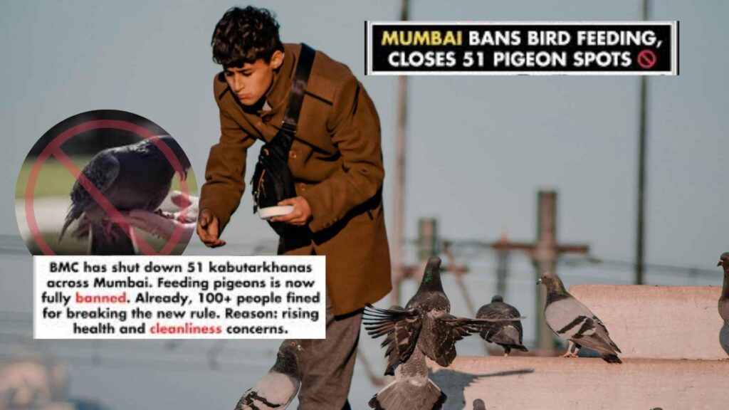 Mumbai’s Pigeon Feeding Ban