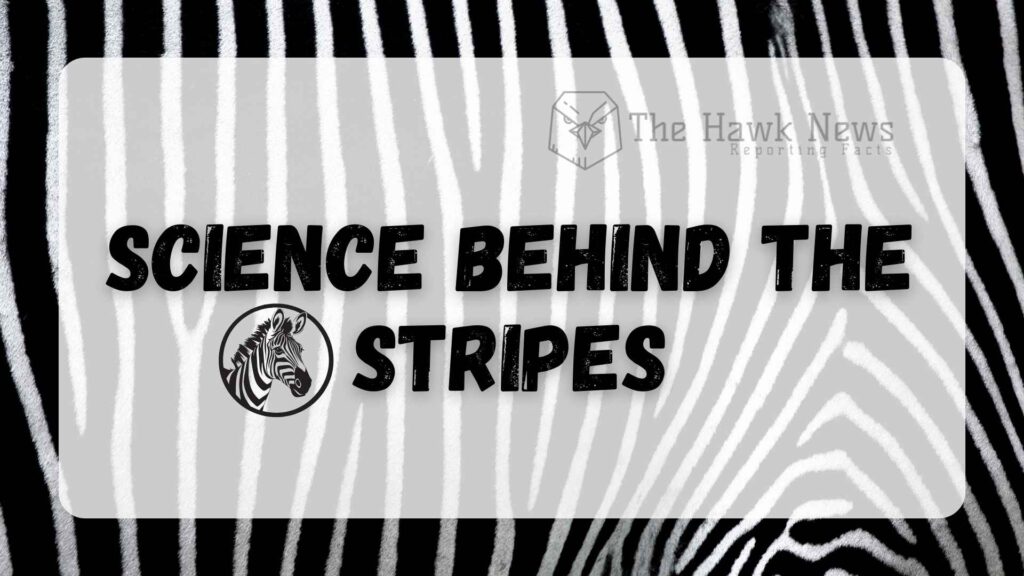 Science Behind the Stripes