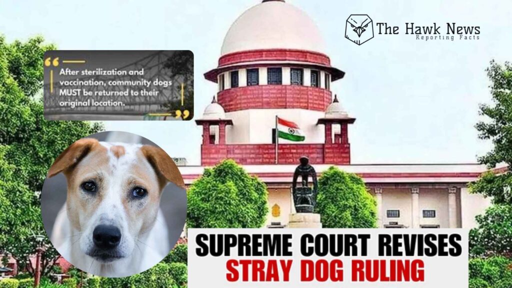 Supreme court revises stray dog ruling