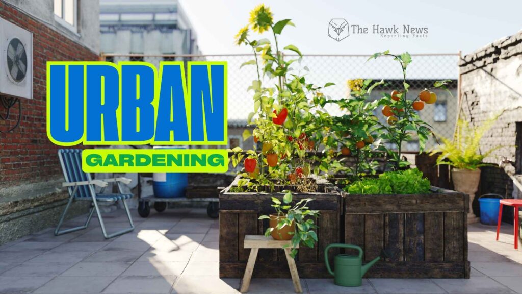 URBAN GARDENING IN CONCRETE JUNGLES