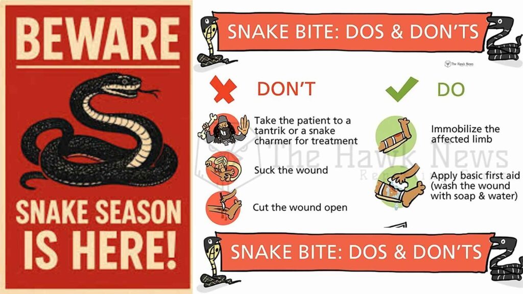 Beware Snake Season is Here