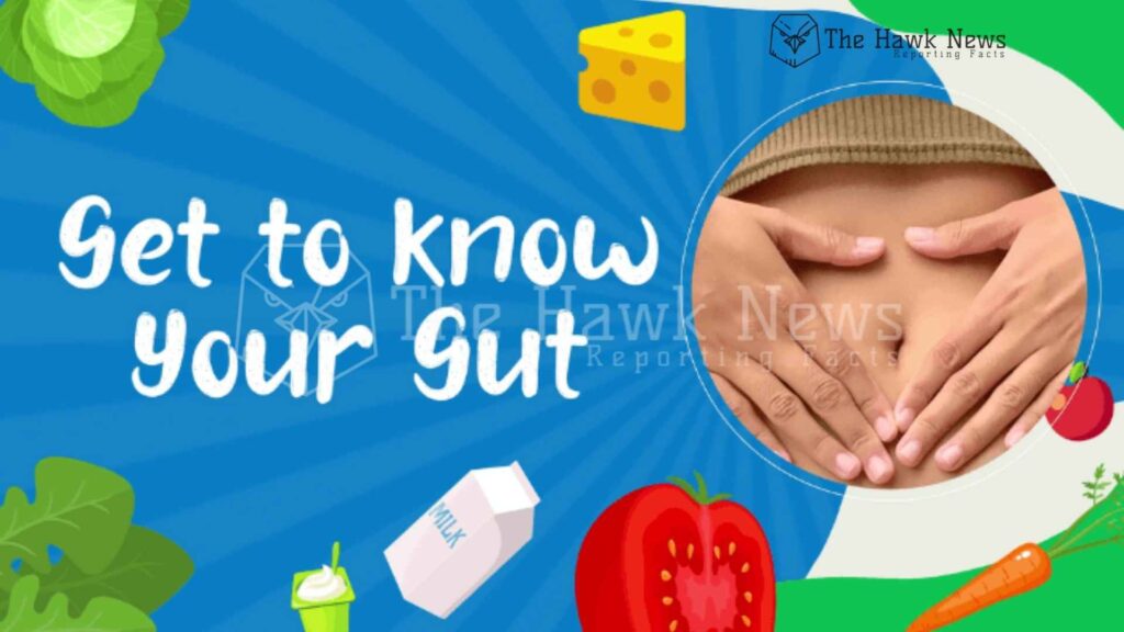 Get to know your Gut