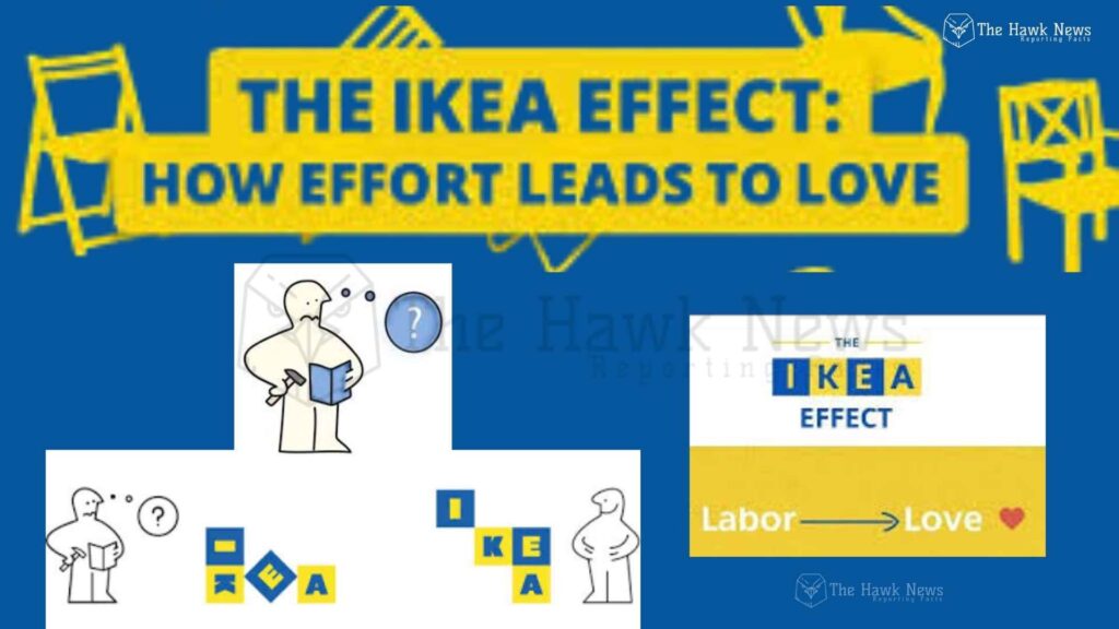 The Ikea Effect