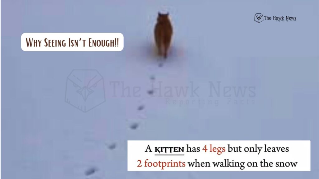 Why Seeing Isn’t Enough