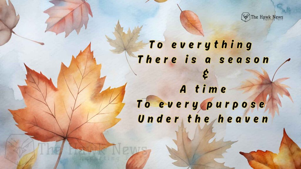 Autumn Leaves & Eternal Lessons