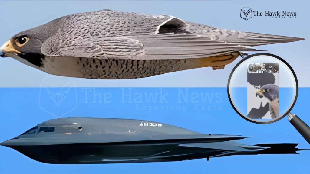 The Tubercles God’s Masterstroke