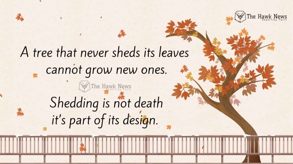 shedding is not death — it’s design.