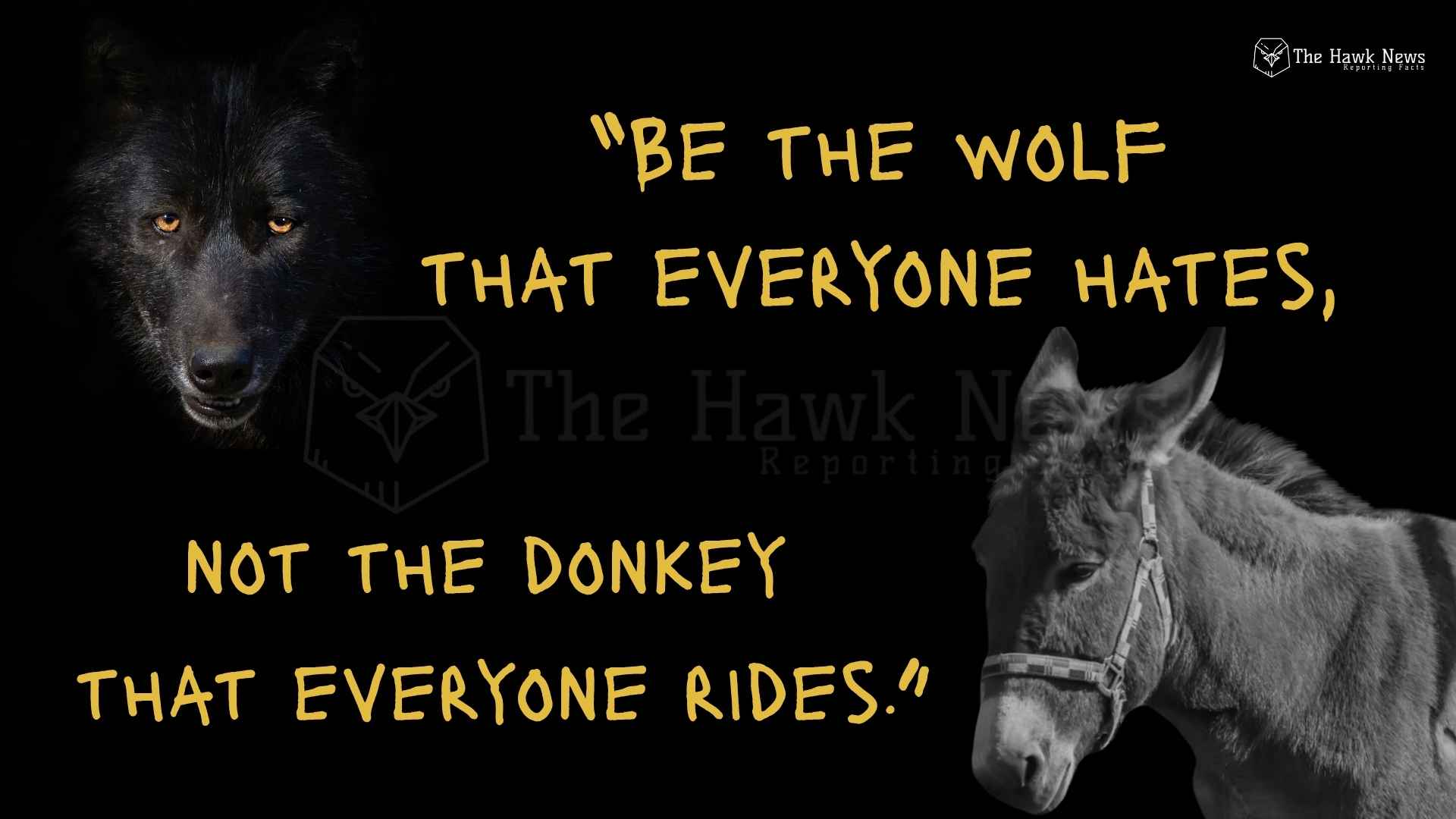 The Wolf &amp; the Donkey: Why Being Liked Is Overrated in a World Addicted to Approval