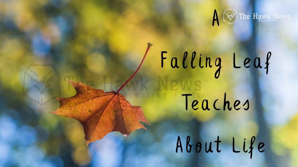 Falling Leaf Teaches About Life