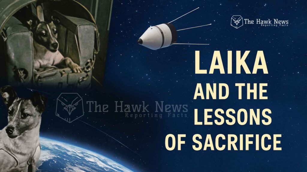 A Bark That Echoed Beyond Earth