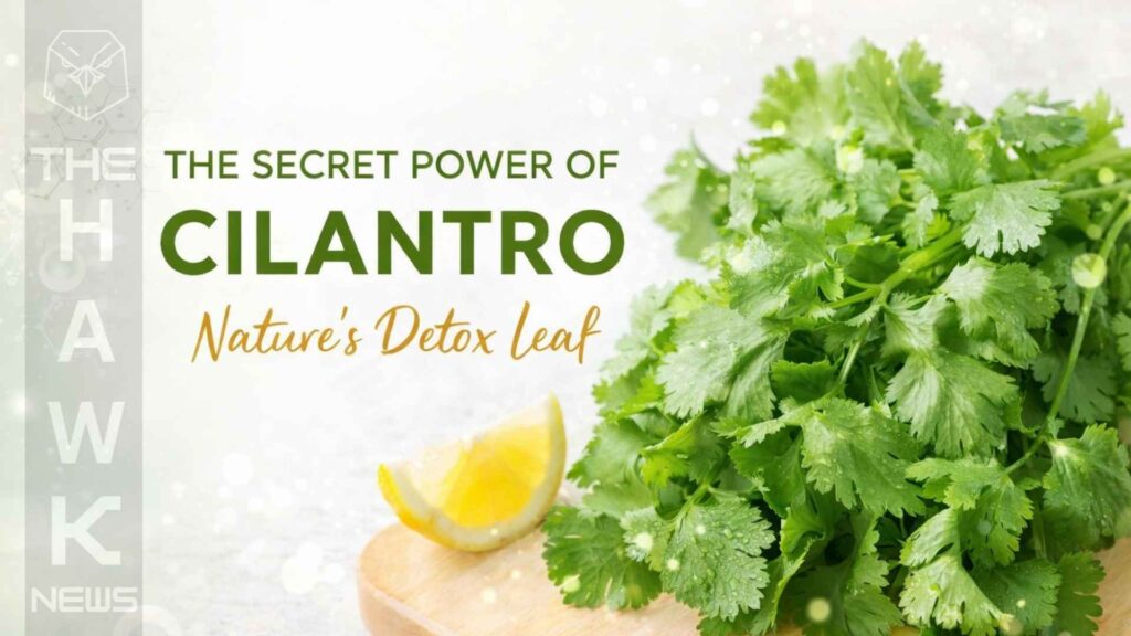 The Secret Power of Cilantro