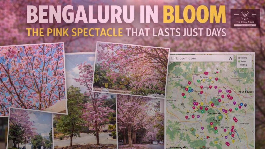 Bengaluru In Bloom